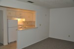 1 Bedroom Kitchen and LR